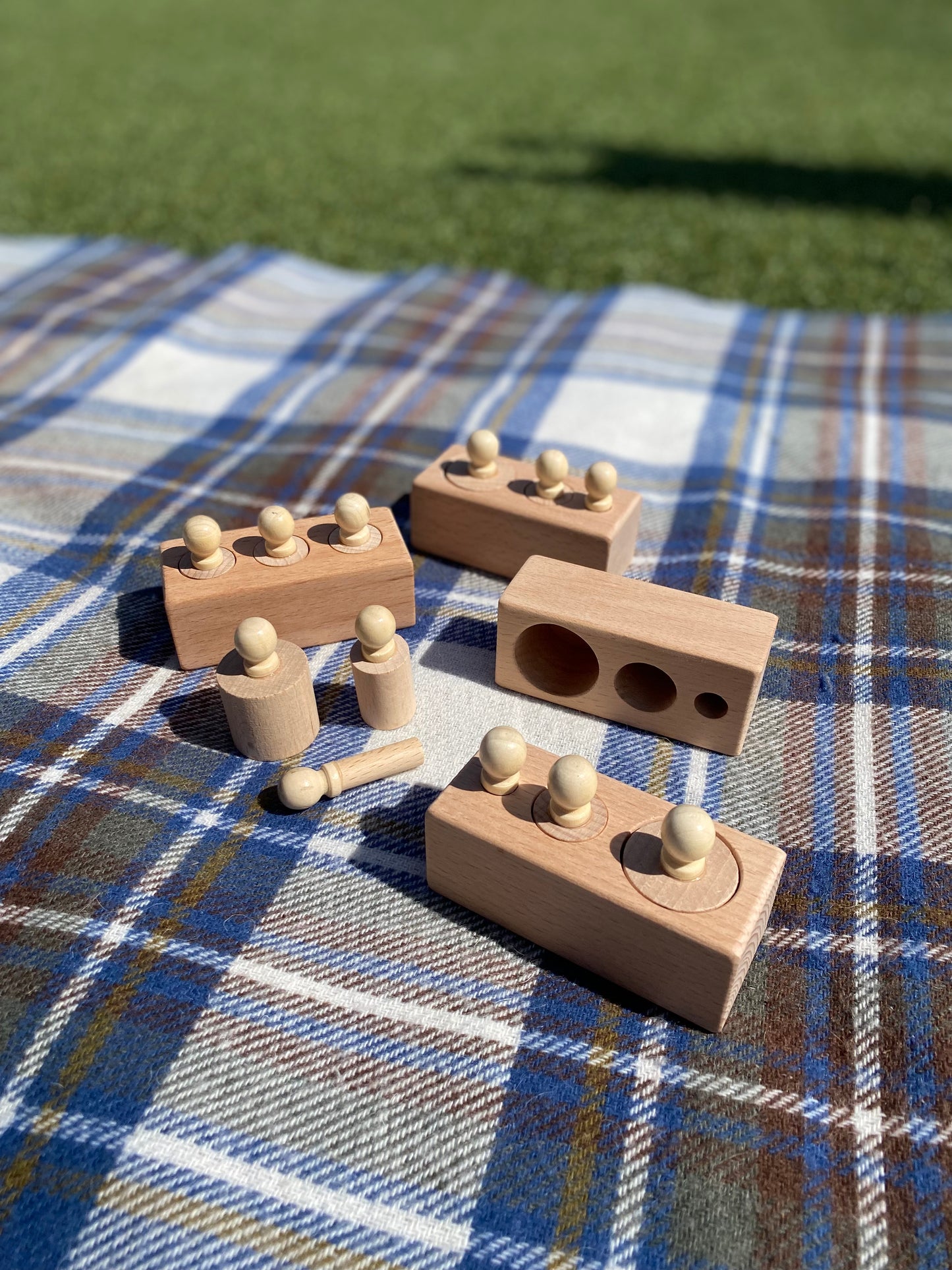 Wooden Pegs