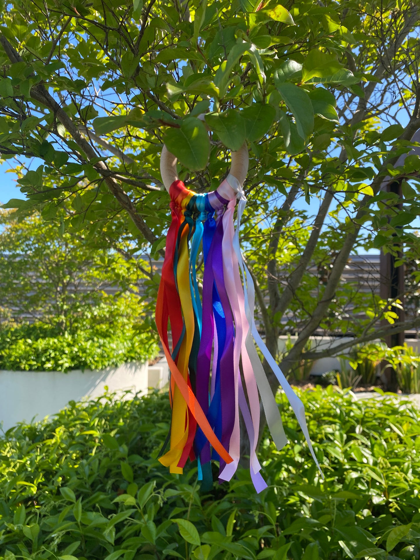 Rainbow Wooden Ring