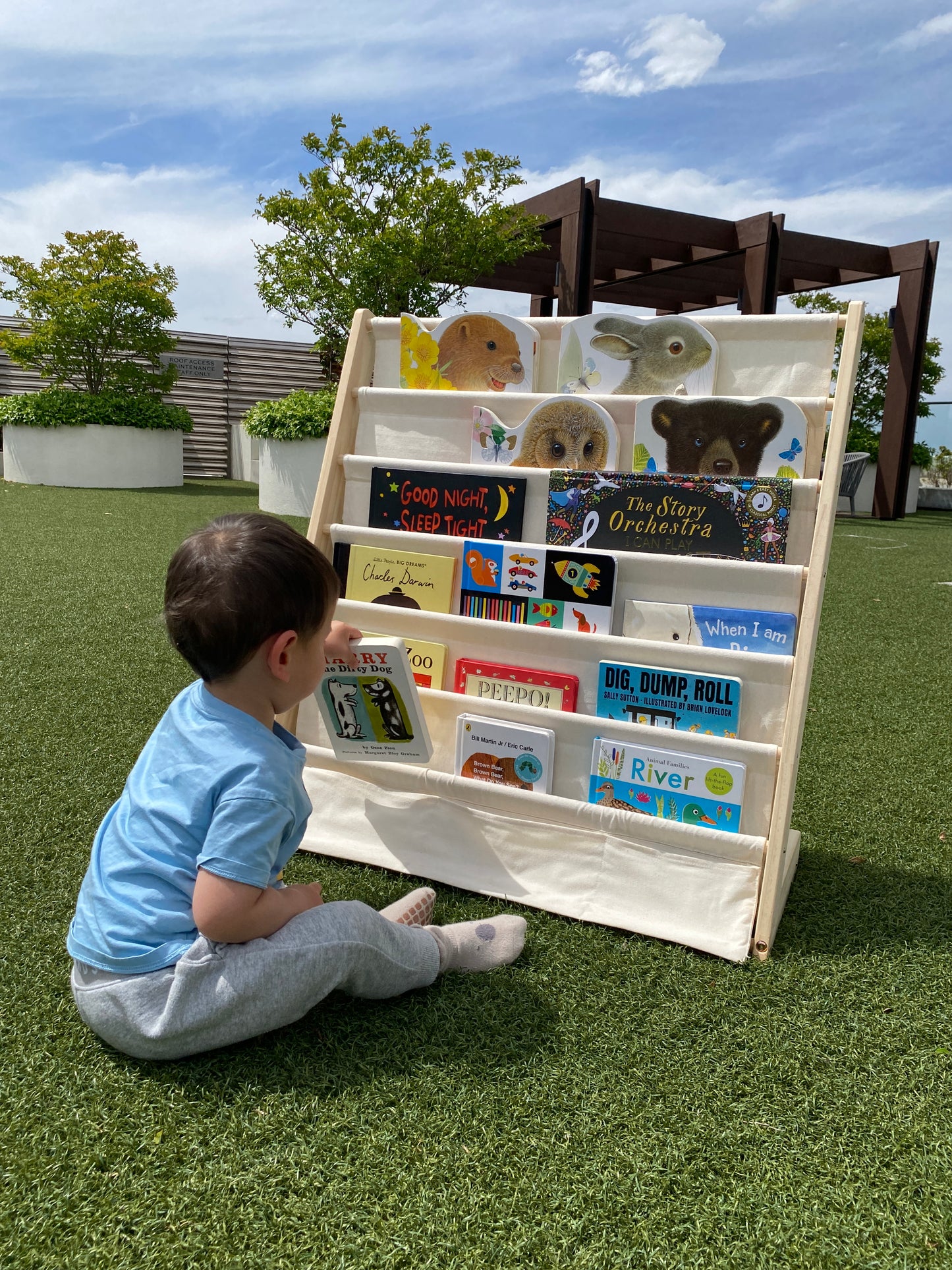 Forward Facing Sling Bookshelf